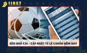 Biến động kèo nhà cái hôm nay - Cách đọc kèo chuẩn xác cho người chơi